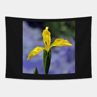 Yellow Iris Tapestry