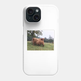 Scottish Highland Cattle Cow and Calf 1534 Phone Case