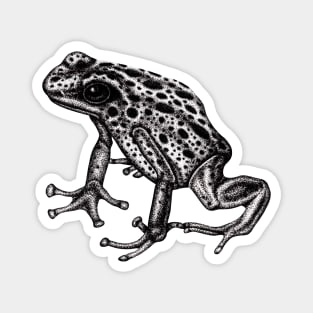 Blue poison dart frog Magnet