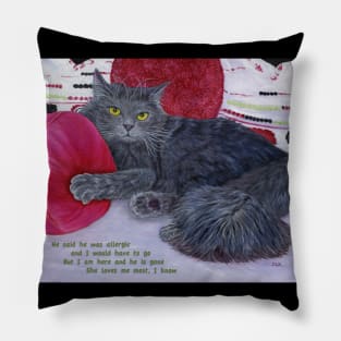 She Loves Me Most. Grey cat lies among rose colored pillows. Text added about a guy telling her to get rid of the cat. Pillow