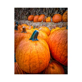 Rainy Day At The Pumpkin Patch T-Shirt