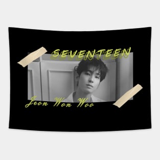 Kpop Design Wonwoo Seventeen Tapestry