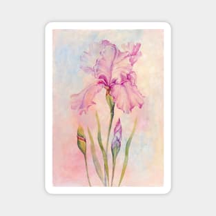 Angel Iris Pure of Heart Magnet