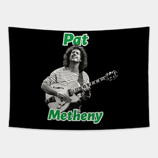 Pat Metheny Tapestry