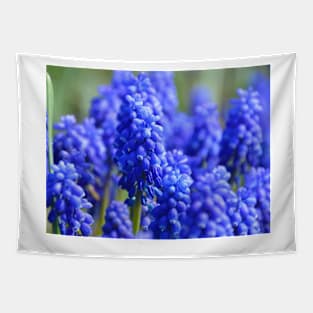 Grape Hyacinth Tapestry