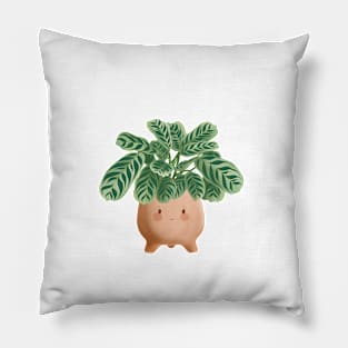 Cute Plant Illustration,  Calathea Burle-Marxii Amabilis 6 Pillow