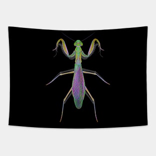 Praying Red Tinged Mantis Tapestry