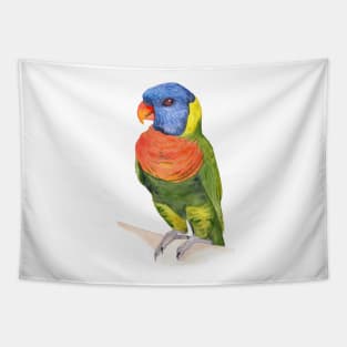 rainbow lorikeet parrot australian bird watercolor Tapestry