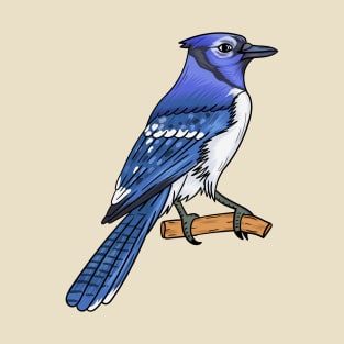 Blue jay bird cartoon illustration T-Shirt