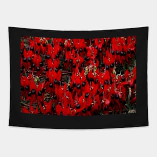 Sturt's Desert Pea, Outback South Australia Tapestry