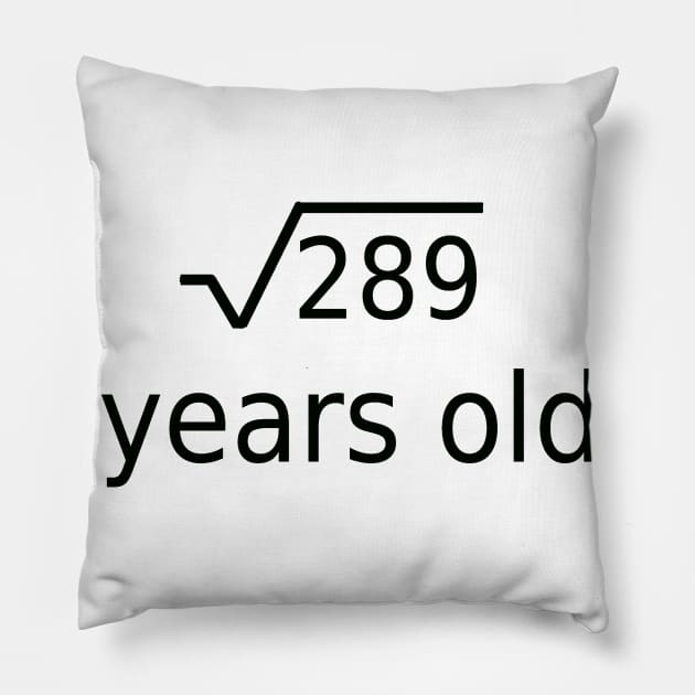 17 Years 17th Birthday Math Pillow by Sabos