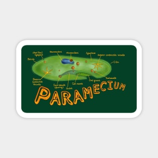 Paramecium-with structures labeled Magnet