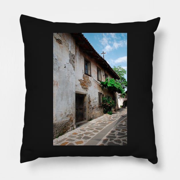 Building in Smartno Pillow by jojobob