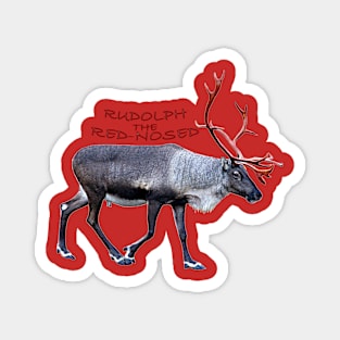 Rudolph the red-nosed Magnet