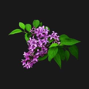 Lilacs - Lilacs and Leaves T-Shirt