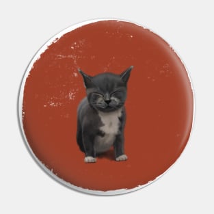 napping kitty Pin