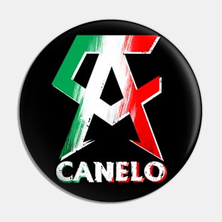 the winner of canelo alvarez vintage Pin