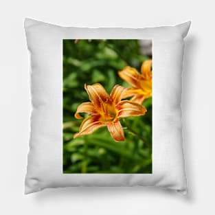 Orange lily Pillow