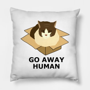 Go Away Human Funny Cat in a Box Pillow