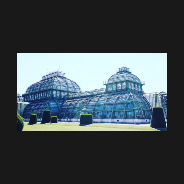 Schönbrunn garden greenhouse by dreamtravel