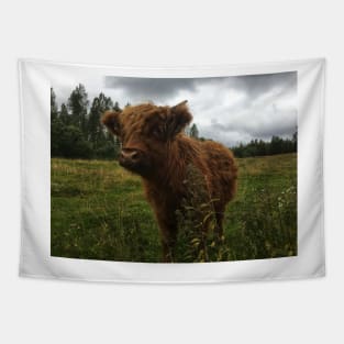 Scottish Highland Cattle Calf 2057 Tapestry