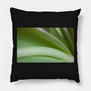 Tulip Stem Pillow