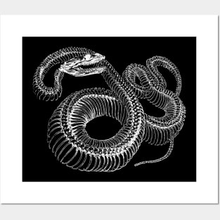 Kingsnake Art for Sale - Pixels