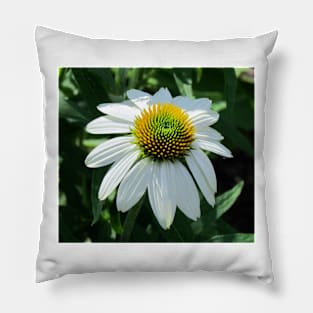 White Coneflower Pillow