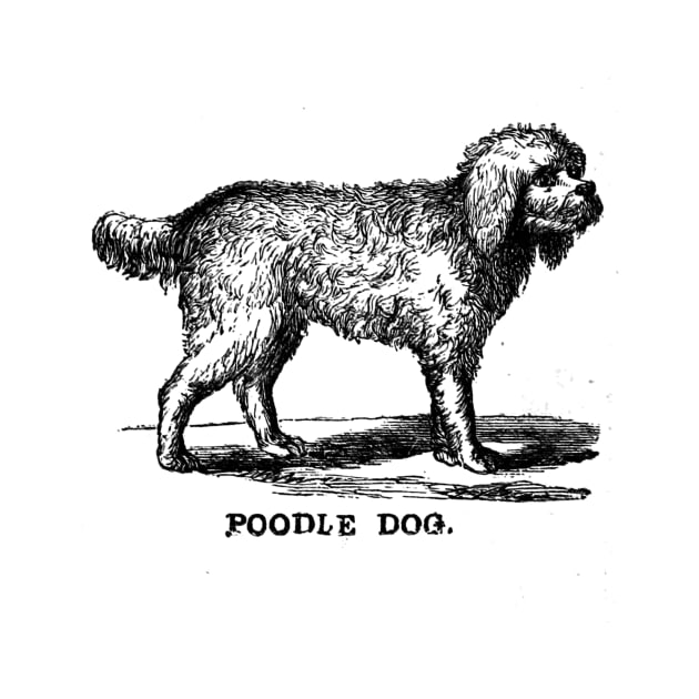 Poodle dog by giddyaunt