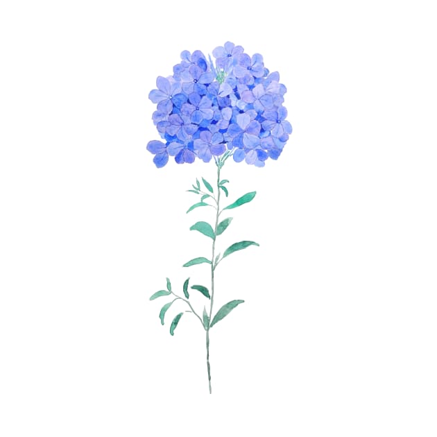 blue purple Plumbago auriculata flower water color by colorandcolor