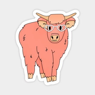 Cute highland cow is ready for Valentines party Magnet