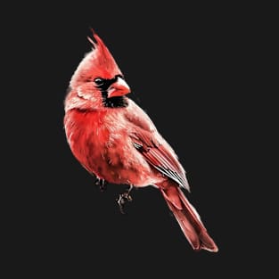 Cardinal Bird Inspired Emporium T-Shirt