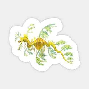 Leafy Sea Dragon Magnet