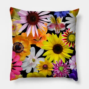 colorful blooms, flowers, flowery, daisies, sunflower, coneflower Pillow