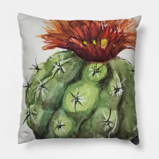 Cactus Pillow