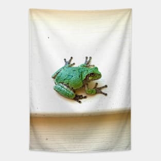 Angel Frog Tapestry