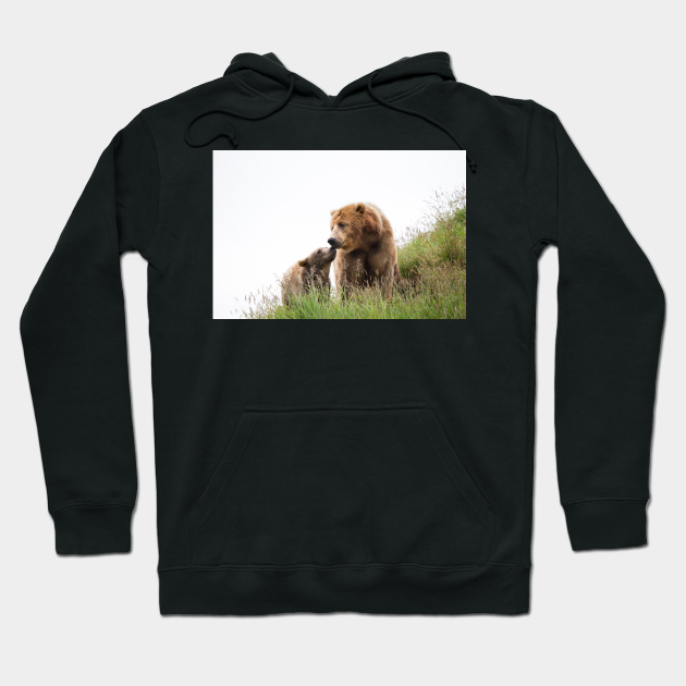bear family hoodie