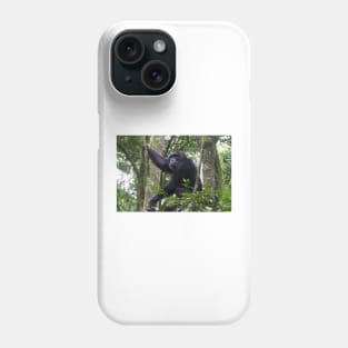 Chimpanzee in Kibaei Forest National Park, Uganda Phone Case