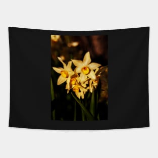 Daffodil flowers Tapestry