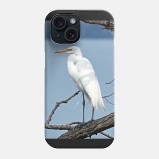 Great Egret / Great White Heron Sitting On a Tree Branch Phone Case