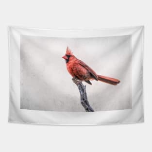 Male Northern Cardinal on a Snag Tapestry