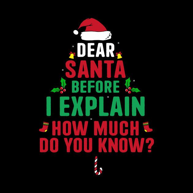 Dear Santa I Can Explain Funny Christmas Pajama Adults Kids by _So who go sayit_