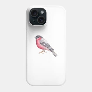 Bird. Bullfinch Phone Case