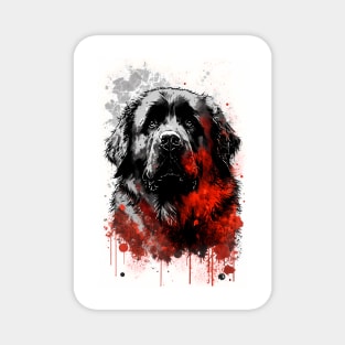 Newfoundland Dog Portrait Magnet