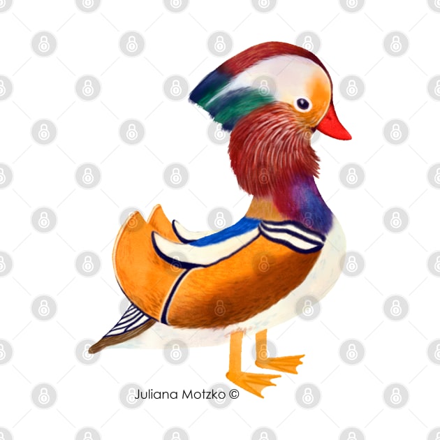 Mandarin Duck realistic illustration by julianamotzko