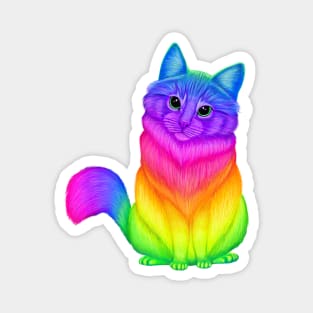 Neon Rainbow cat Magnet