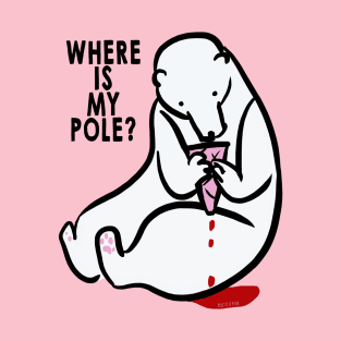 Where is my pole? #1 T-Shirt