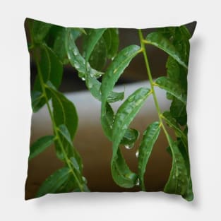 Morning dew Pillow