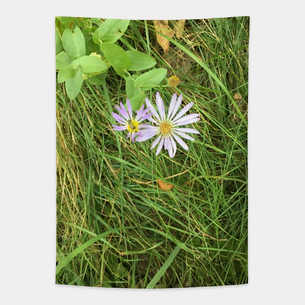 Wildflowers in the Grass Tapestry by Amanda1775