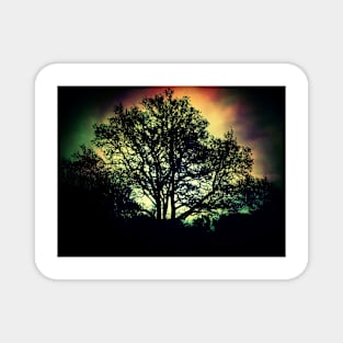 Kaleidoscope SKY and LONE TREE Magnet